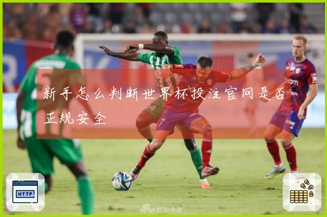 新手怎么判断世界杯投注官网是否正规安全
