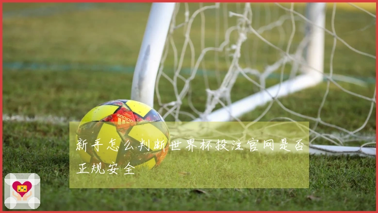 新手怎么判断世界杯投注官网是否正规安全