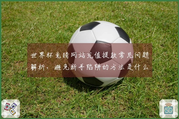 世界杯竞猜网站充值提款常见问题解析，避免新手陷阱的方法是什么？