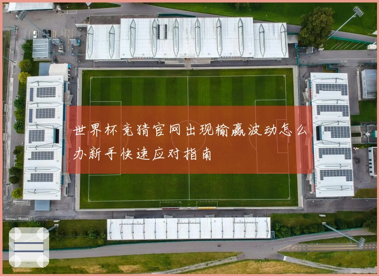 世界杯竞猜官网出现输赢波动怎么办新手快速应对指南