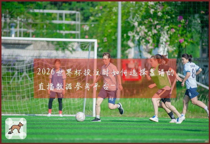 2026世界杯投注时如何选择靠谱的直播数据参考平台-