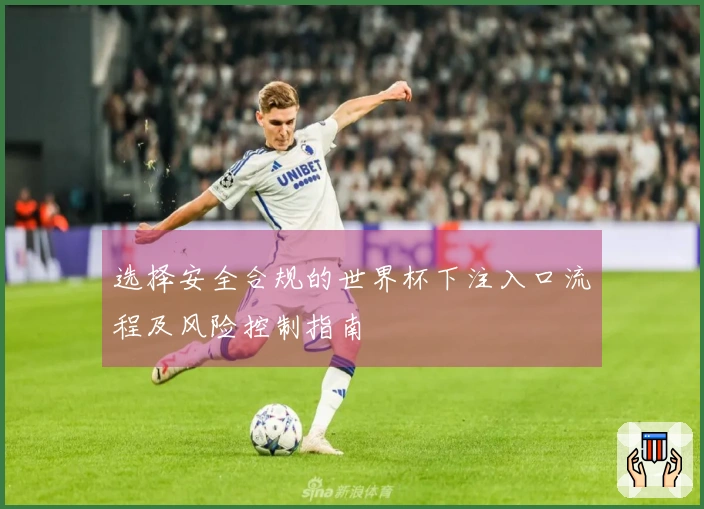选择安全合规的世界杯下注入口流程及风险控制指南