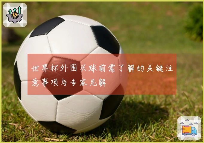 世界杯外围买球前需了解的关键注意事项与专家见解
