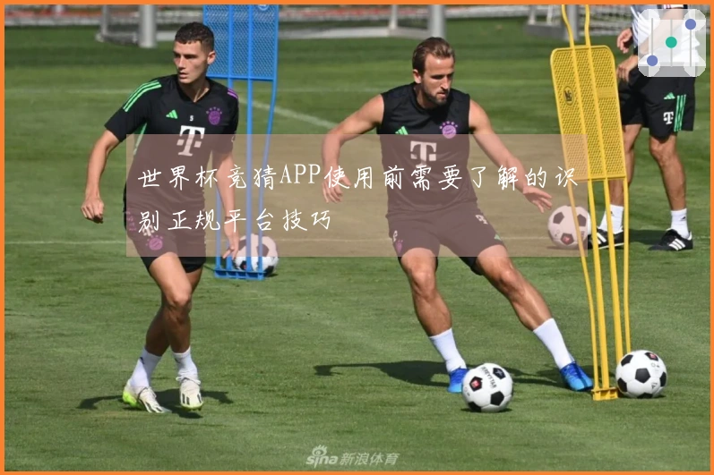世界杯竞猜APP使用前需要了解的识别正规平台技巧
