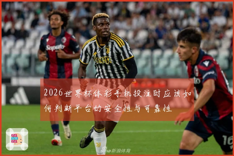 2026世界杯体彩手机投注时应该如何判断平台的安全性与可靠性