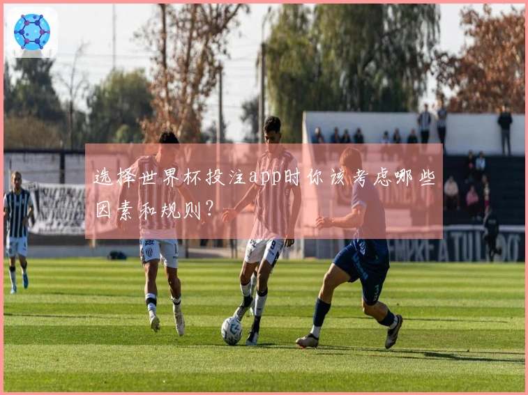 选择世界杯投注app时你该考虑哪些因素和规则？