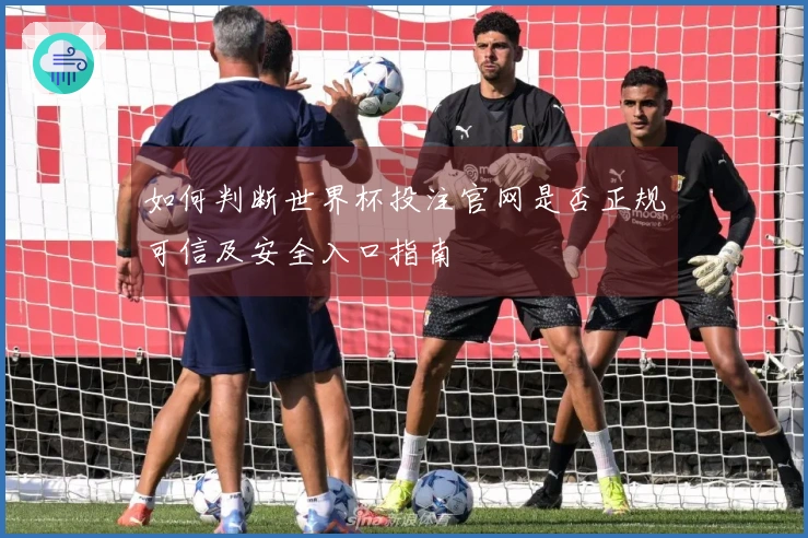 如何判断世界杯投注官网是否正规可信及安全入口指南